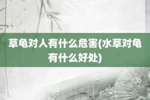 草龟对人有什么危害(水草对龟有什么好处)