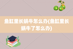 鱼缸里长蜗牛怎么办(鱼缸里长蜗牛了怎么办)