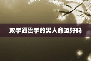 双手通贯手的男人命运好吗