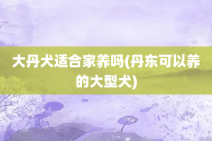 大丹犬适合家养吗(丹东可以养的大型犬)