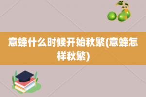 意蜂什么时候开始秋繁(意蜂怎样秋繁)