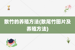 散竹的养殖方法(散尾竹图片及养殖方法)
