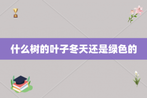 什么树的叶子冬天还是绿色的
