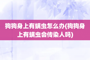 狗狗身上有螨虫怎么办(狗狗身上有螨虫会传染人吗)