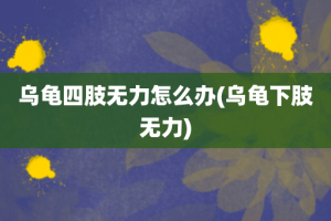 乌龟四肢无力怎么办(乌龟下肢无力)