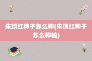 朱顶红种子怎么种(朱顶红种子怎么种植)