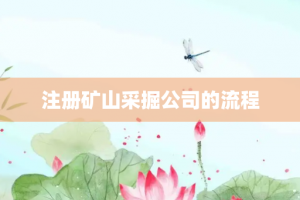 注册矿山采掘公司的流程