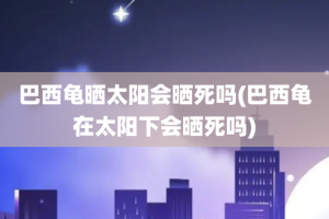 巴西龟晒太阳会晒死吗(巴西龟在太阳下会晒死吗)