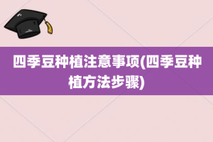 四季豆种植注意事项(四季豆种植方法步骤)