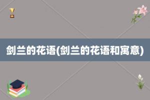 剑兰的花语(剑兰的花语和寓意)
