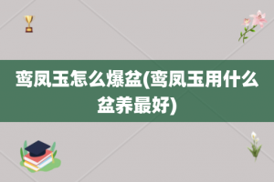 鸾凤玉怎么爆盆(鸾凤玉用什么盆养最好)