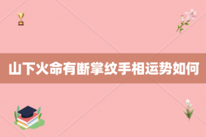 山下火命有断掌纹手相运势如何