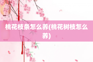 桃花枝条怎么养(桃花树枝怎么养)