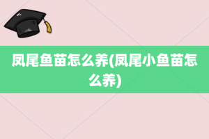 凤尾鱼苗怎么养(凤尾小鱼苗怎么养)