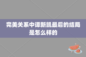 完美关系中谭新凯最后的结局是怎么样的