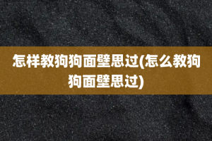 怎样教狗狗面壁思过(怎么教狗狗面壁思过)