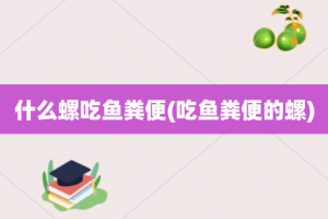 什么螺吃鱼粪便(吃鱼粪便的螺)