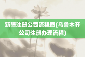 新疆注册公司流程图(乌鲁木齐公司注册办理流程)