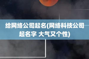 给网络公司起名(网络科技公司起名字 大气又个性)