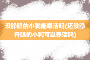 没睁眼的小狗能喂活吗(还没睁开眼的小狗可以养活吗)