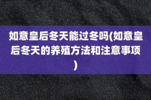 如意皇后冬天能过冬吗(如意皇后冬天的养殖方法和注意事项)