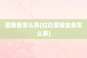蓝瘦鱼怎么养(红白蓝瘦金鱼怎么养)