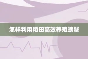 怎样利用稻田高效养殖螃蟹