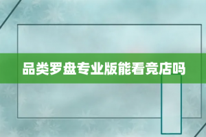 品类罗盘专业版能看竞店吗