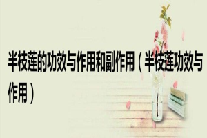 半枝莲的功效与作用和副作用(半枝莲功效与作用) 半枝莲的功效与作用和副作用(半枝莲功效与作用)