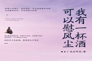 我有一杯酒可以慰风尘