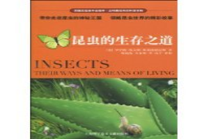 昆虫的生存之道