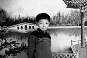 被马云点醒的撒贝宁，从电视“出走”后，为何成为综艺大咖？