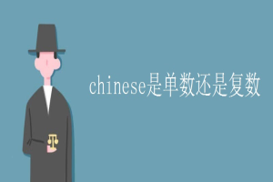 chinese是单数还是复数 缩略图