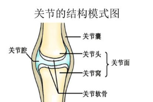 风湿性骨病怎么治疗？ 缩略图